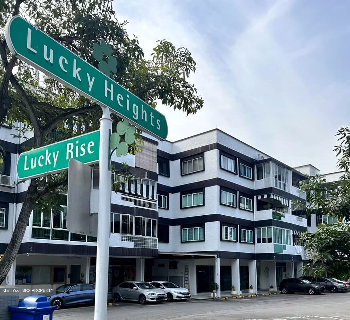 Lucky Court (D16), Shop House #601477981